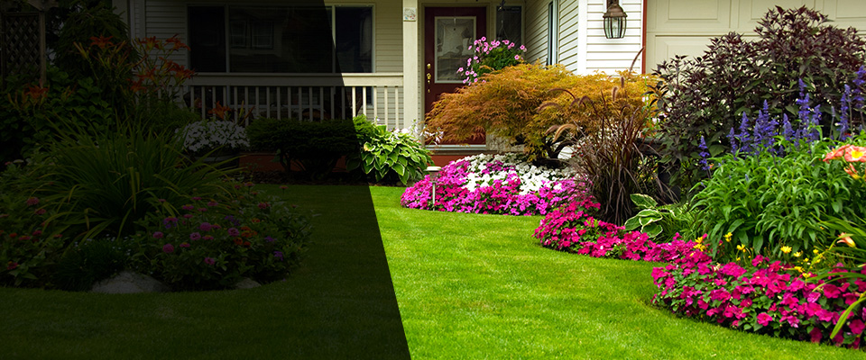 Cedar Hill Landscapers